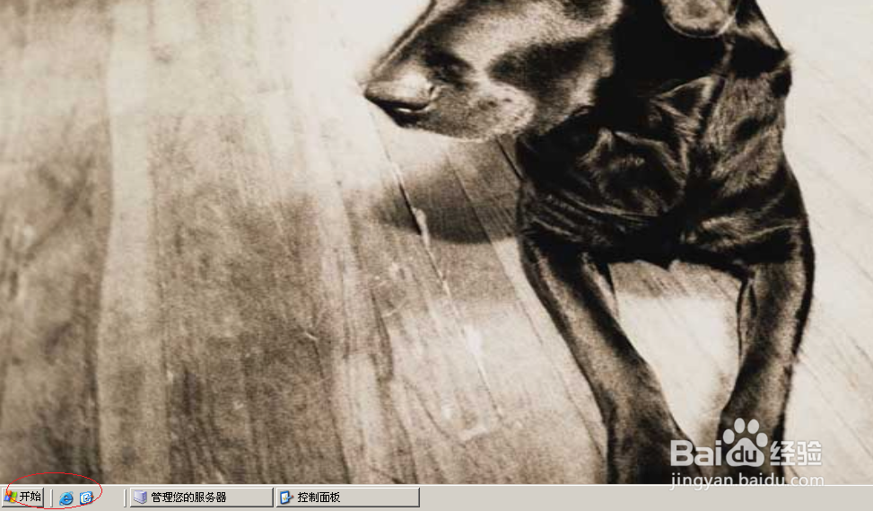 Windows Server 2003如何启用鼠标指针阴影