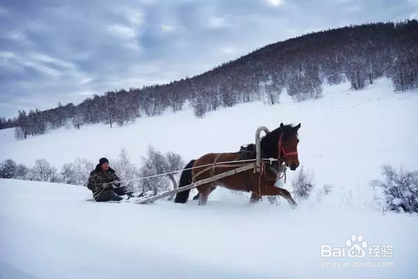 2018放假，喀纳斯出游指南