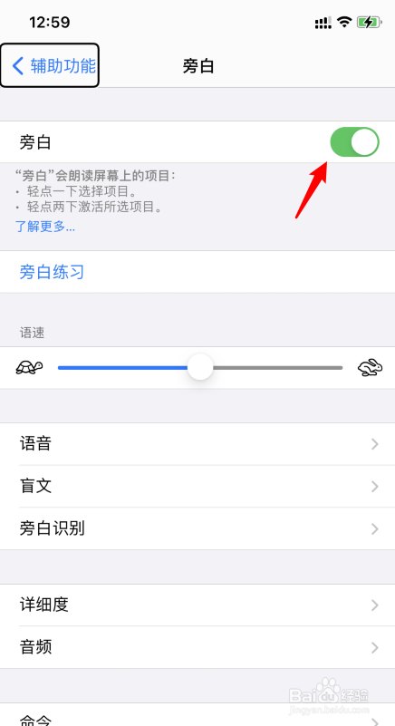 苹果手机ios14系统怎么打开旁白