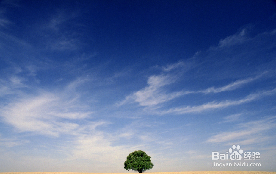 国内义工旅行民宿青年旅舍攻略2