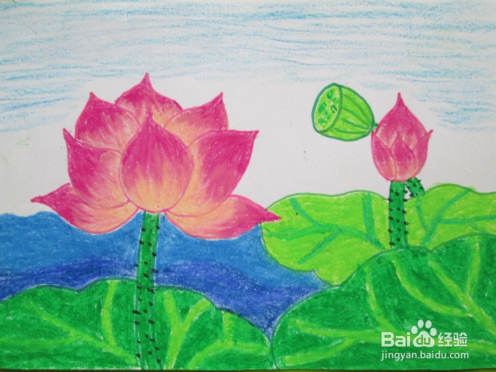 我们来学油画棒：[6]荷花