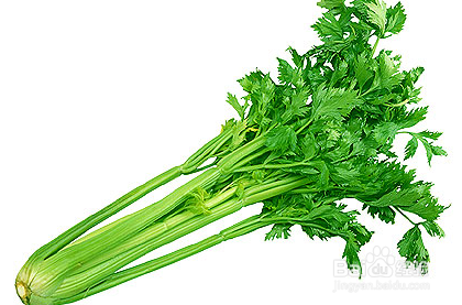 如何做肉片炒芹菜