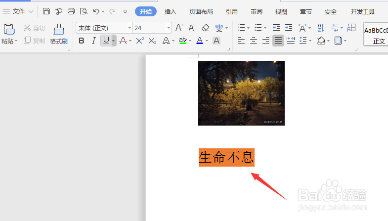 WPS文字文档中如何给文字添加底色