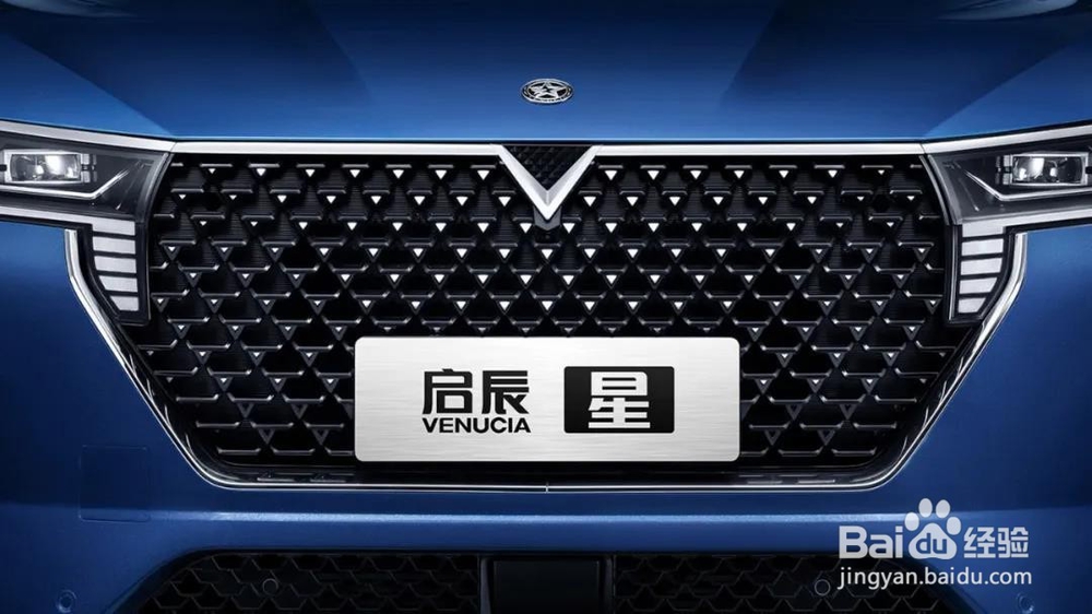 这台国产车也换标了?头等舱享受值回票价!