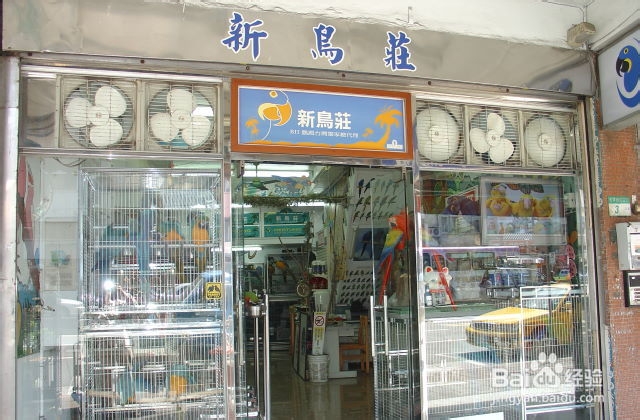 创业实战分析鸟类销售店