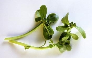 拒绝医院！自己治牙痛！