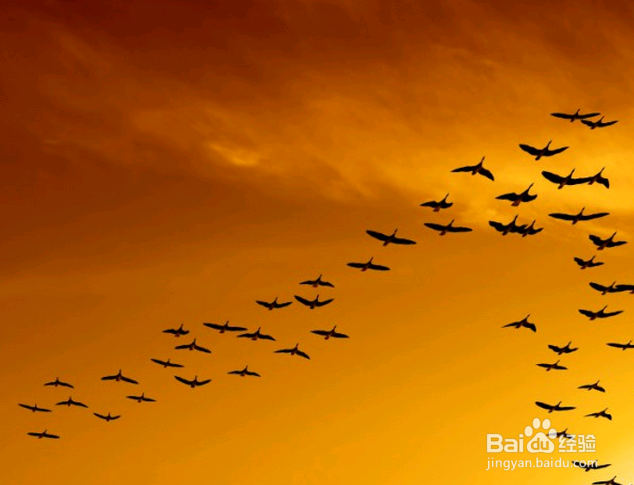 即将踏入职场的应届毕业生们，来读读职场厚黑学