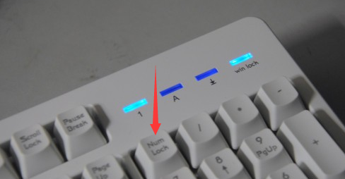 电脑打字打不出来什么问题