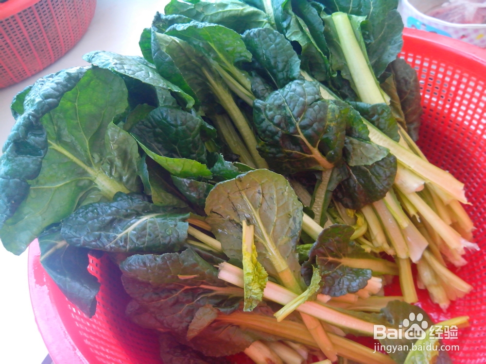 苔菜的营养价值——苔菜豆腐泡的做法