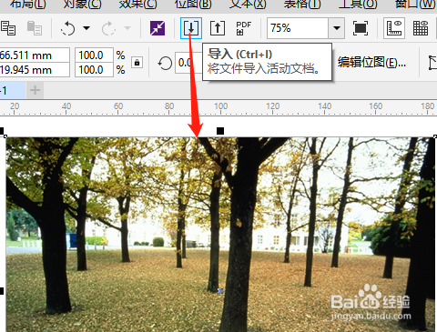 CorelDRAW X8怎么调整图像的亮度