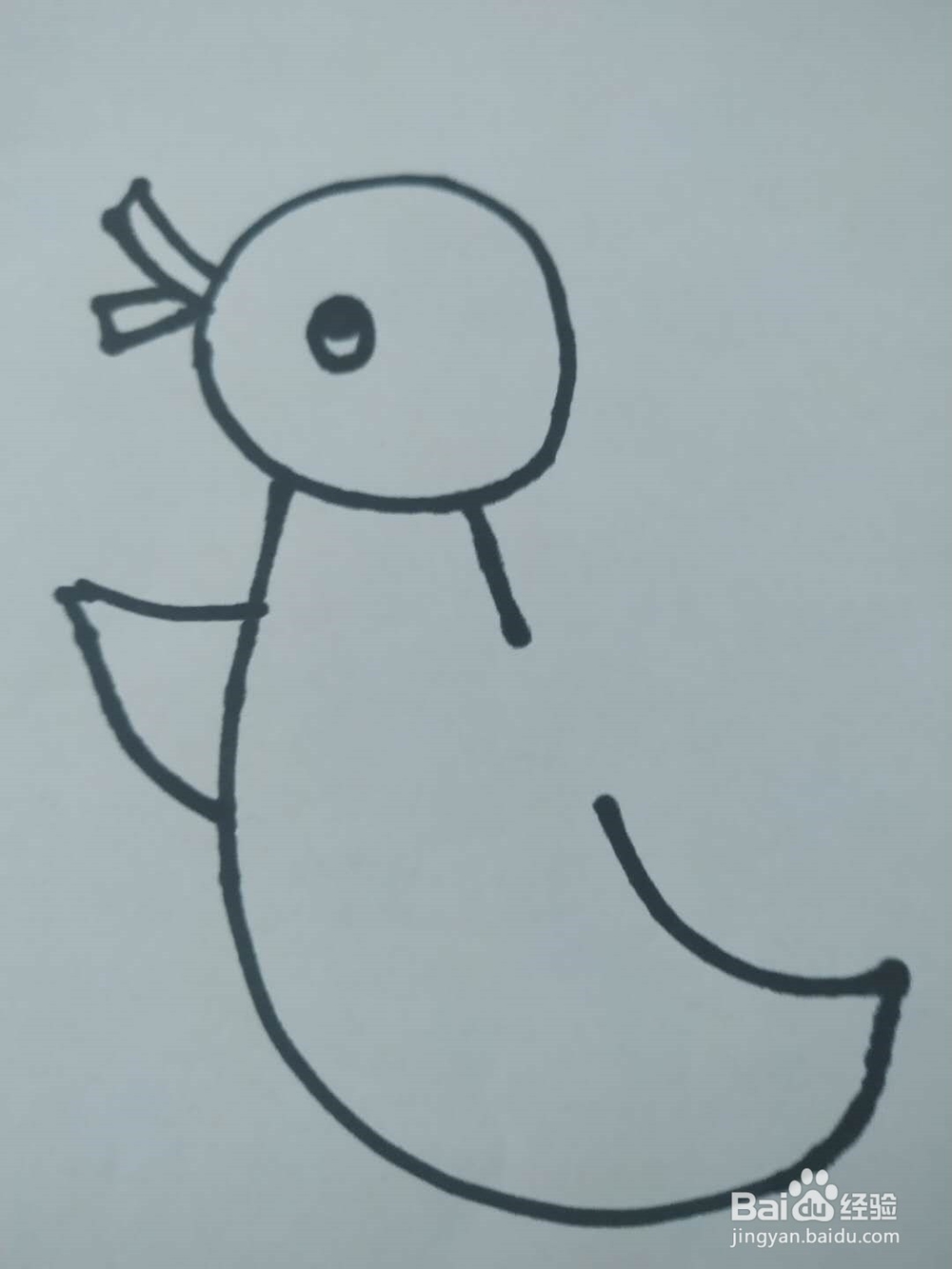 小鸭子的简笔画怎么画,怎么画小鸭子