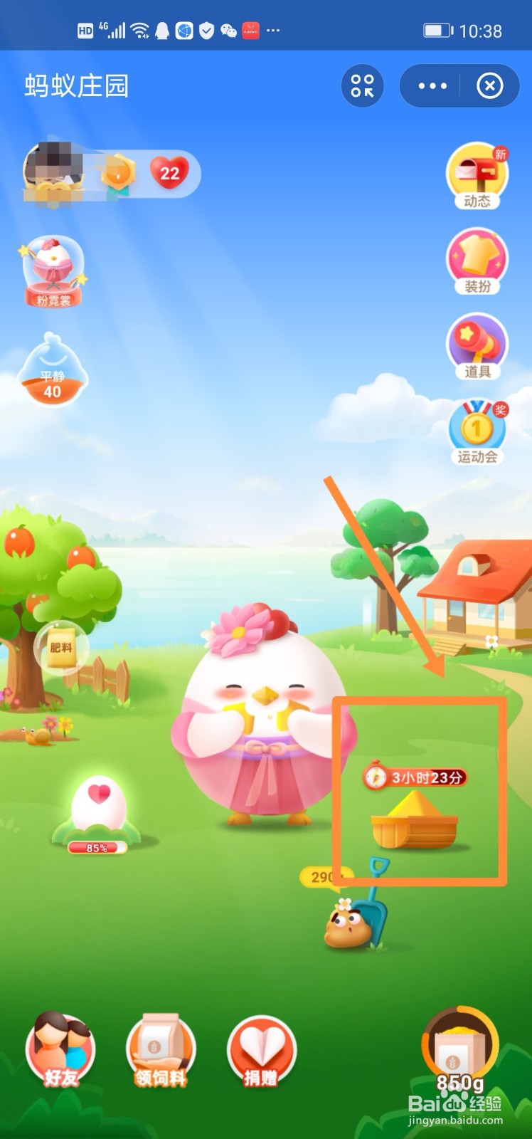 蚂蚁庄园小鸡吃食物的时间怎么变少