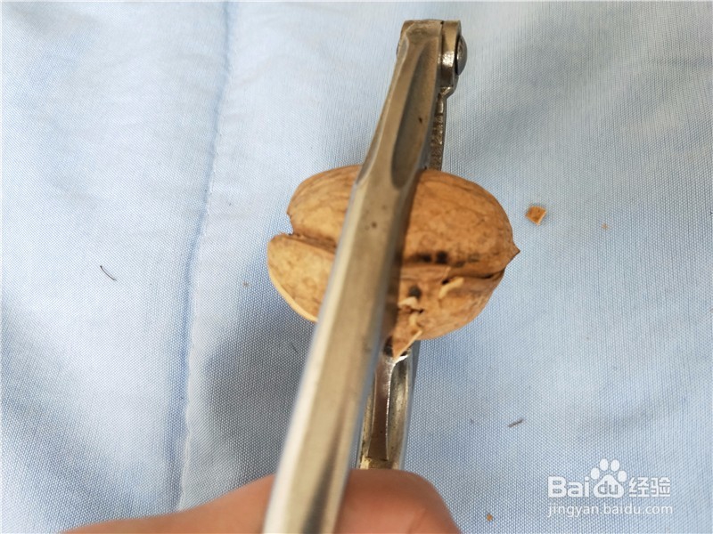 核桃钳子如何轻松快速的打开核桃