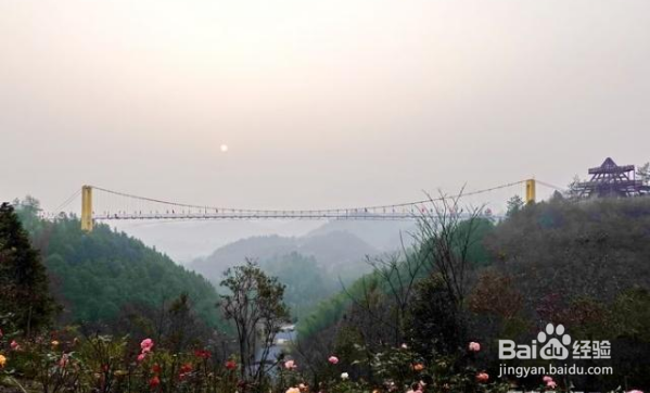 咸宁崇阳柃蜜小镇游玩攻略