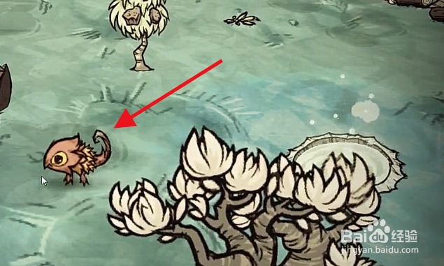 饥荒如何获得火龙果