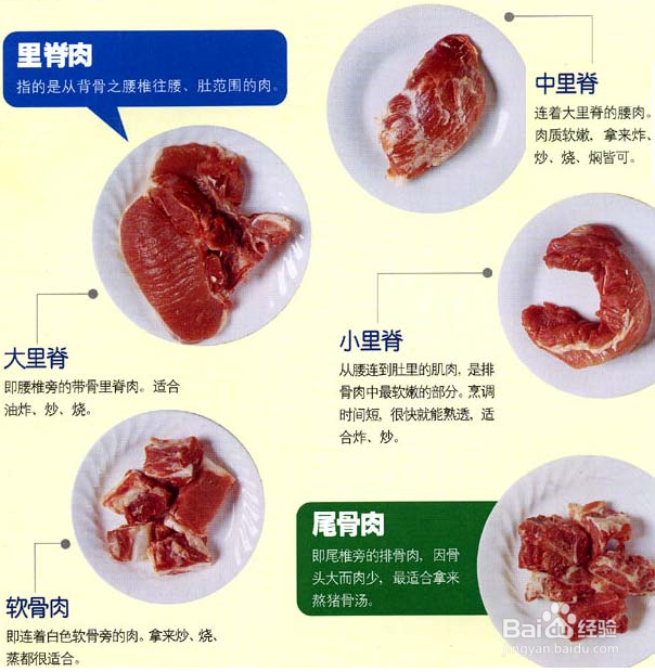 猎肉排骨的种类，如何挑选上好的排骨？