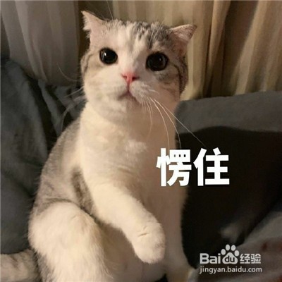 女生不回消息怎么高情商回复
