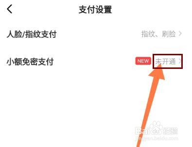 闲鱼如何开通小额免密支付