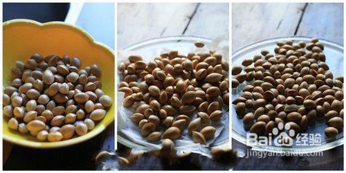 爆炒白果，让家中老人明显改善记忆的小零食