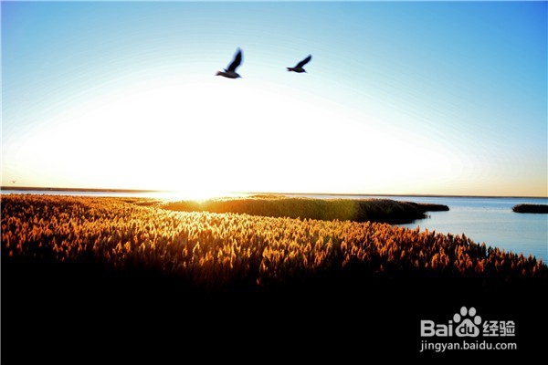 中国最佳旅行时间表攻略—你的下半年都被包了