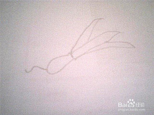 简笔画大葱该怎样画