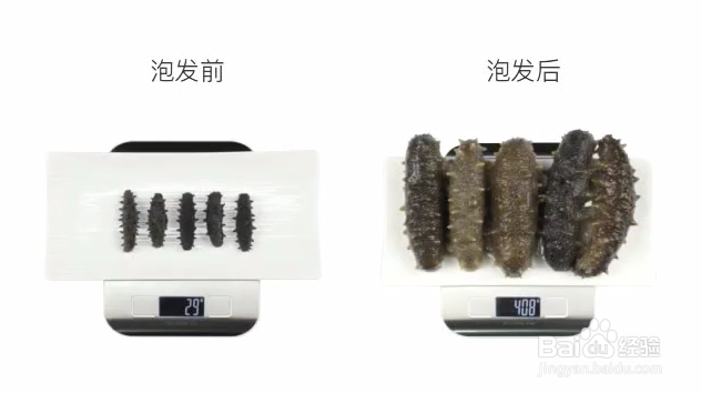 最好的海参泡发方法