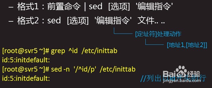 sed基本用法详解