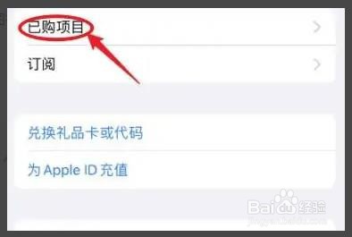 苹果手机如何进入我的购买项目