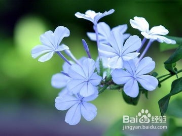 如何选择防晒产品：[2]防晒产品的选择和使用