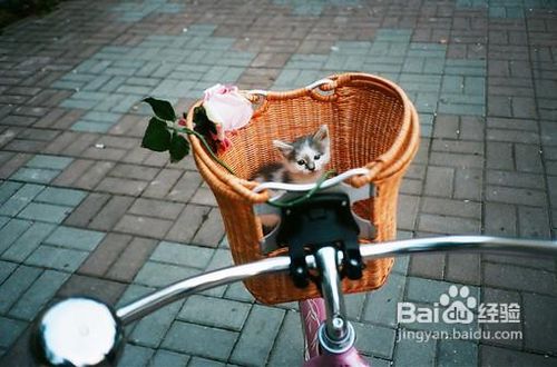 怎样去除脸上的痘痘【吃“醋”就能排毒祛痘】