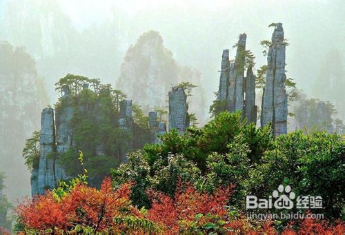 张家界旅游注意事项