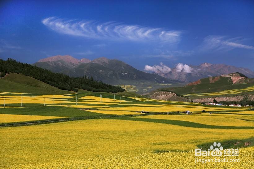 甘肃的旅游胜地有哪些