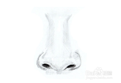 如何画人鼻子