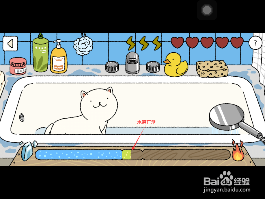 萌宅物语怎么给猫咪洗澡