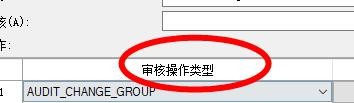 SQL如何设置审核操作