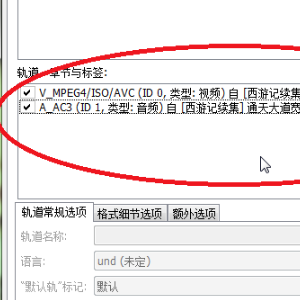 什么软件可以分离MP4的视频流、音轨和字幕