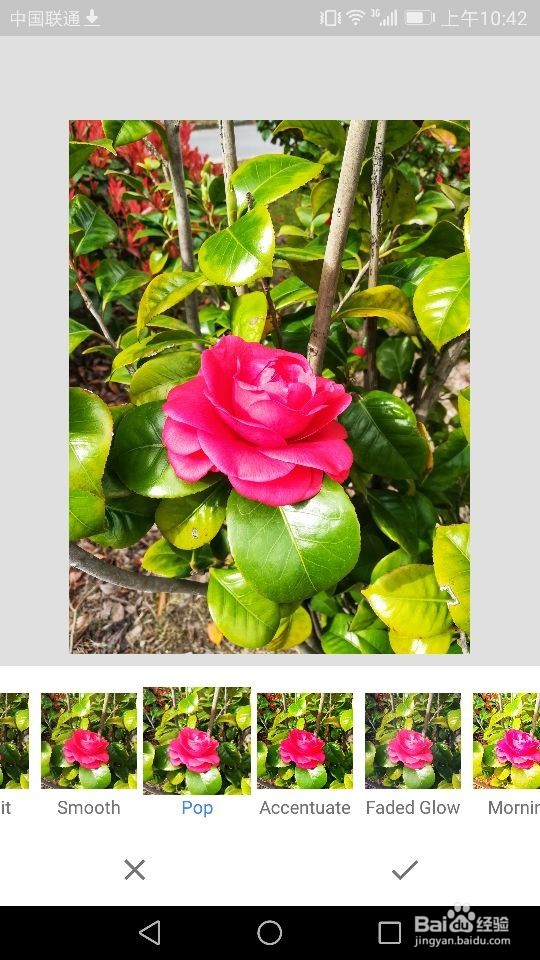 Snapseed软件如何进行照片样式的选择