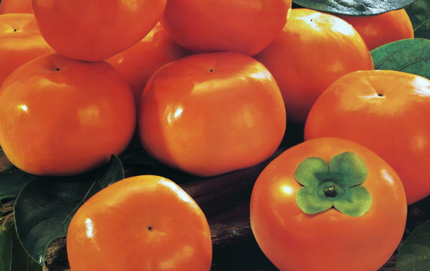 吃柿子可以喝茶吗