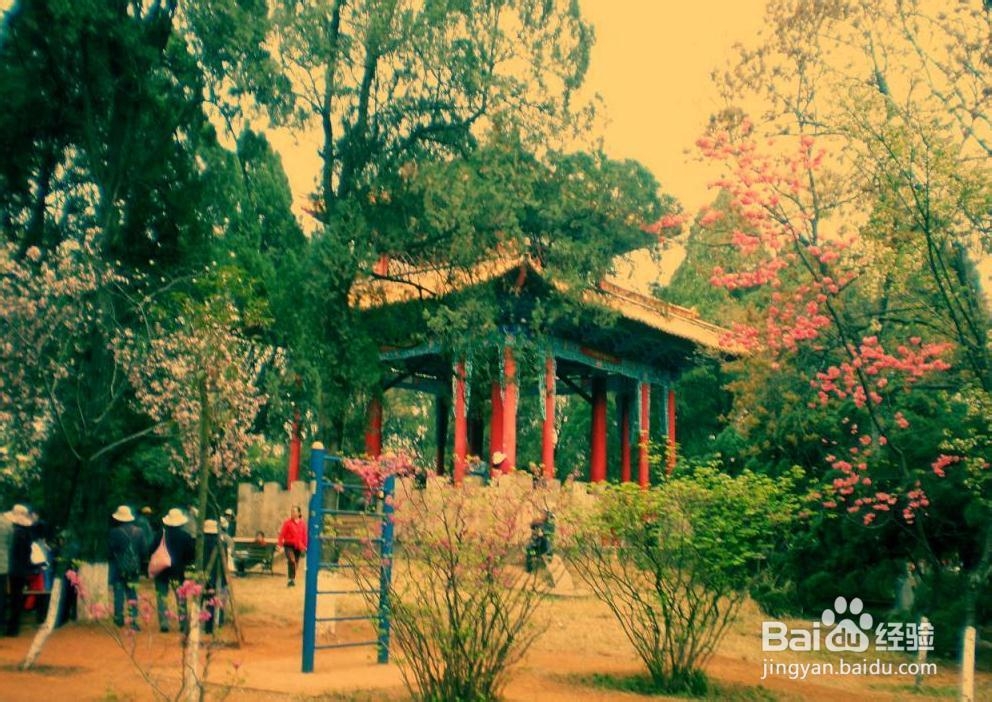暑假自由行：[39]云南昆明二日游旅游攻略