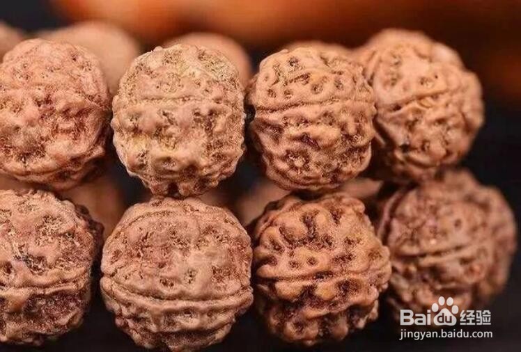大金刚纹路种类图解