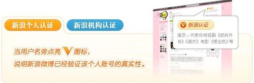 新浪|微博申请认证|微博怎么认证|微博如何认证