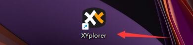 XYplorer如何设置通过按键获得焦点时全选