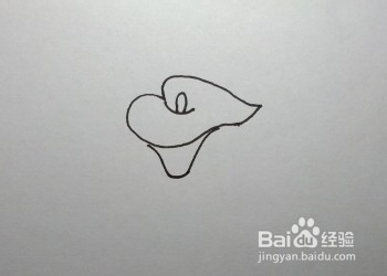 马蹄莲的简笔画（儿童简笔画教程）