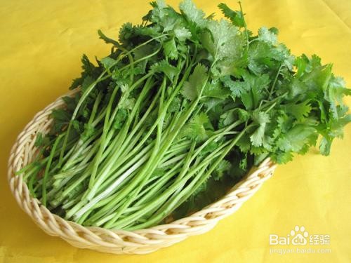 如何正确储存蔬菜