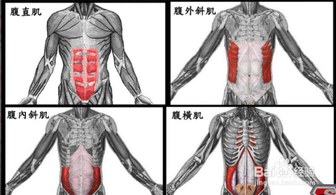 伪健身知识有哪些