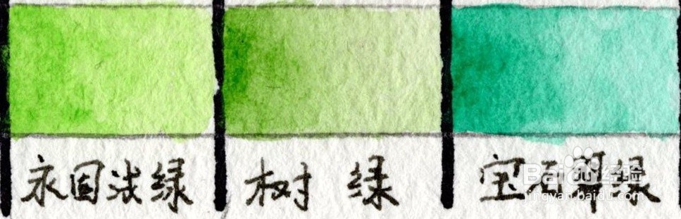 水彩花卉教程 | 跟又画一起画一幅海棠花吧