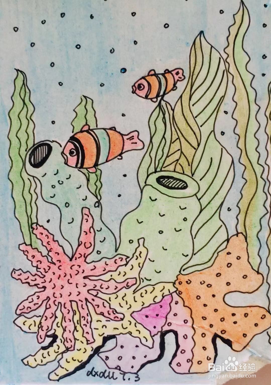 珊瑚简笔画带颜色图片