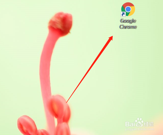 前途汽车倒闭了,前途汽车保养怎么办