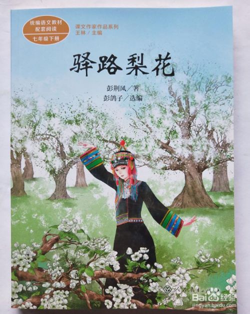 驿路梨花含义和作用