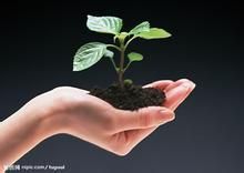 职场人转压力为动力的4个心理策略